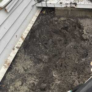 422000387_365642469734551_5074791346529353061_n